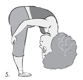 Иллюстрация к книге — Зрелой женщине принадлежит мир. Как быть счастливой в мире мужчин [i_006.jpg]