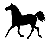 Иллюстрация к книге — Ври как мужчина, манипулируй как женщина [i_025.jpg]