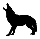 Иллюстрация к книге — Ври как мужчина, манипулируй как женщина [i_027.jpg]