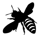 Иллюстрация к книге — Ври как мужчина, манипулируй как женщина [i_031.jpg]