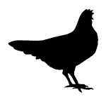 Иллюстрация к книге — Ври как мужчина, манипулируй как женщина [i_035.jpg]