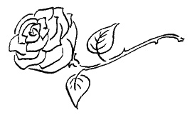 Иллюстрация к книге — Что сделала бы Грейс? Секреты стильной жизни от принцессы Монако [_010.jpg]