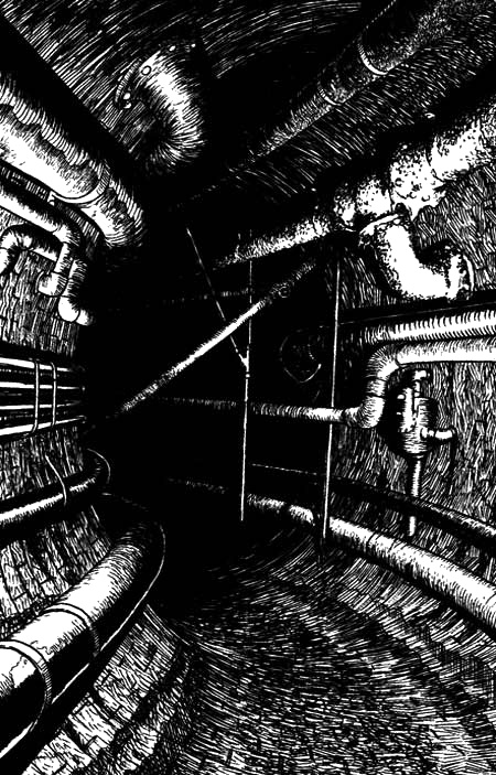 Иллюстрация к книге — Спокойное достоинство безмолвия [i_006.jpg]