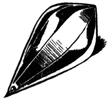 Иллюстрация к книге — Спокойное достоинство безмолвия [i_007.jpg]