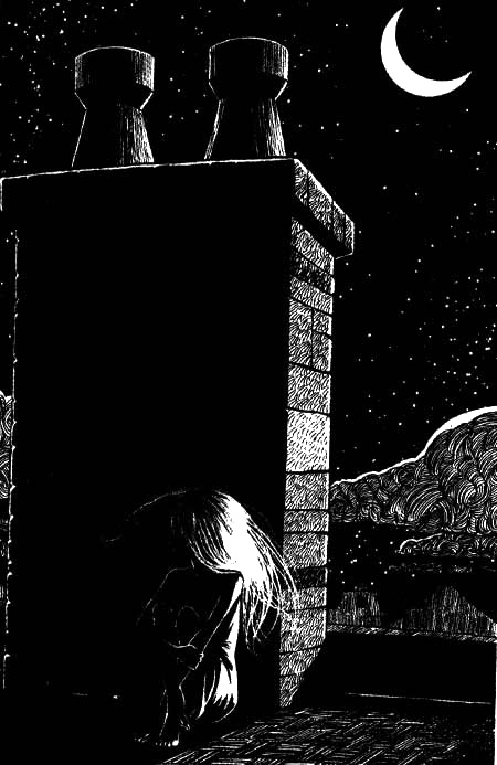 Иллюстрация к книге — Спокойное достоинство безмолвия [i_012.jpg]