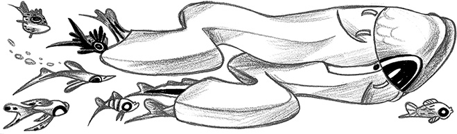 Иллюстрация к книге — Книга всех вещей [i_019.jpg]