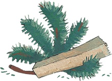 Иллюстрация к книге — Про жирафа Федю [i_009.jpg]