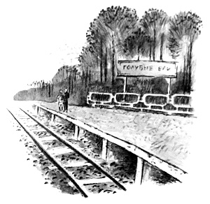 Иллюстрация к книге — Курячий бог [i_028.jpg]