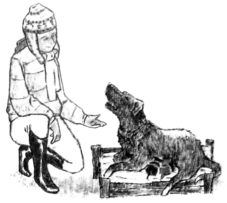 Иллюстрация к книге — Курячий бог [i_032.jpg]