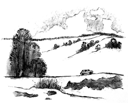 Иллюстрация к книге — Курячий бог [i_047.jpg]