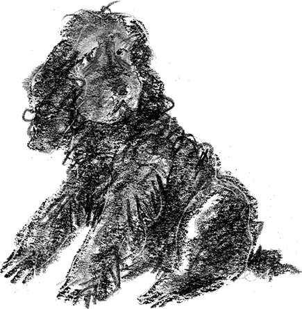 Иллюстрация к книге — Приключения Джерика [i_002.jpg]