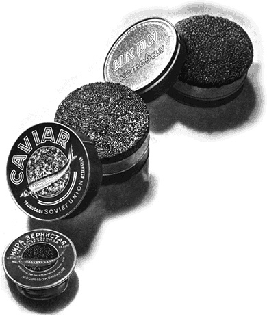 Иллюстрация к книге — Приключения Джерика [i_015.jpg]