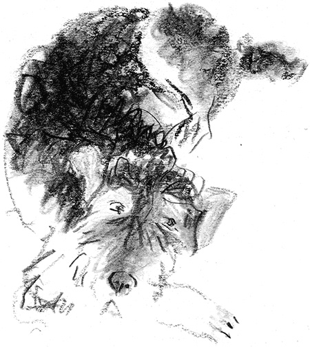 Иллюстрация к книге — Приключения Джерика [i_024.jpg]