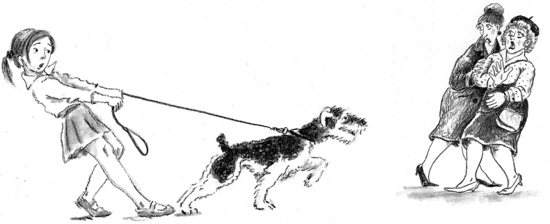 Иллюстрация к книге — Приключения Джерика [i_029.jpg]