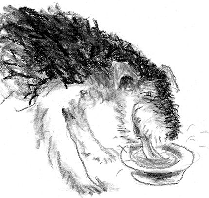 Иллюстрация к книге — Приключения Джерика [i_041.jpg]