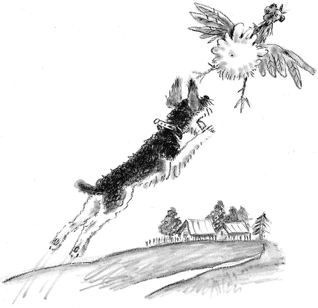 Иллюстрация к книге — Приключения Джерика [i_045.jpg]