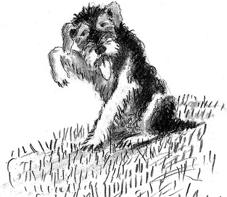 Иллюстрация к книге — Приключения Джерика [i_048.jpg]