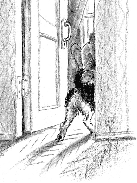 Иллюстрация к книге — Приключения Джерика [i_053.jpg]