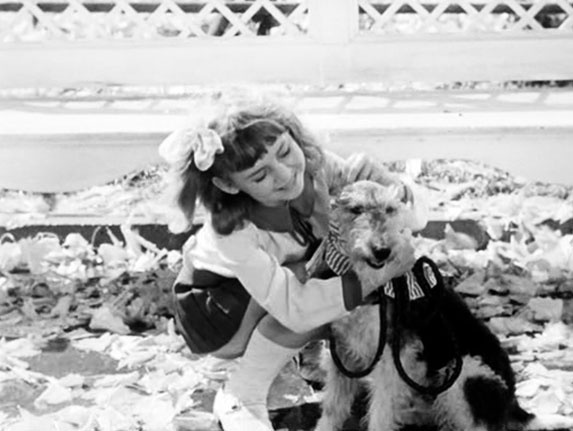 Иллюстрация к книге — Приключения Джерика [i_059.jpg]