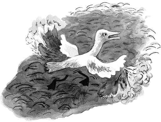 Иллюстрация к книге — Простодурсен. Зима от начала до конца [i_005.jpg]