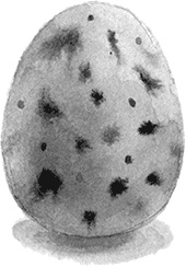 Иллюстрация к книге — Простодурсен. Зима от начала до конца [i_095.jpg]