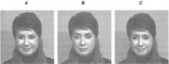 Иллюстрация к книге — Мудрость психопатов [R41.jpg]