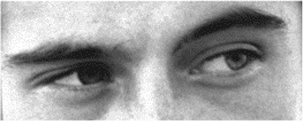 Иллюстрация к книге — Флипноз. Искусство мгновенного убеждения [i_048.jpg]