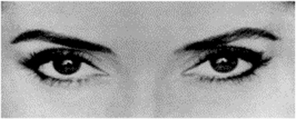 Иллюстрация к книге — Флипноз. Искусство мгновенного убеждения [i_049.jpg]