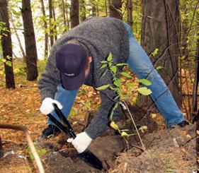 Иллюстрация к книге — Байки старого химика [p17.jpg]
