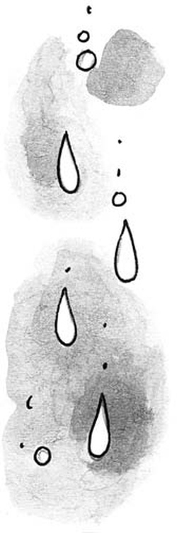 Иллюстрация к книге — Скажи, Лиса! [i_024.jpg]