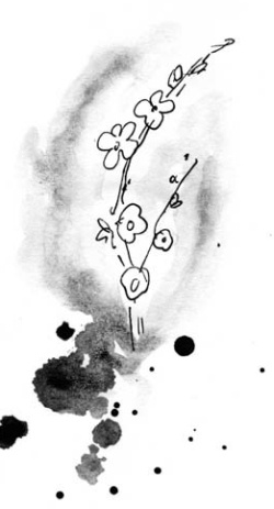 Иллюстрация к книге — Скажи, Лиса! [i_039.jpg]