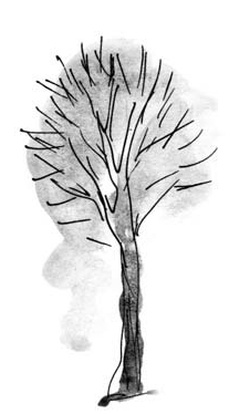 Иллюстрация к книге — Скажи, Лиса! [i_042.jpg]