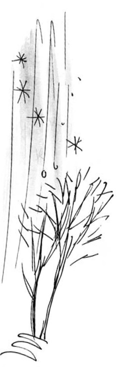 Иллюстрация к книге — Скажи, Лиса! [i_044.jpg]