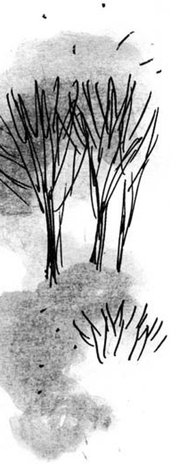 Иллюстрация к книге — Скажи, Лиса! [i_045.jpg]