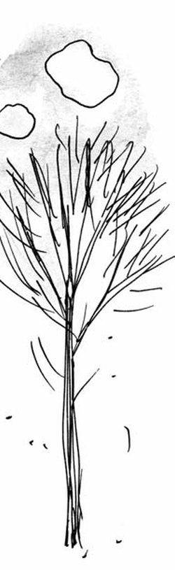 Иллюстрация к книге — Скажи, Лиса! [i_050.jpg]