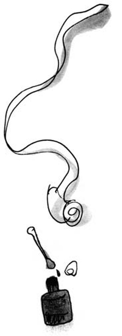 Иллюстрация к книге — Скажи, Лиса! [i_078.jpg]