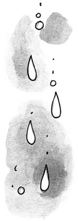 Иллюстрация к книге — Скажи, Лиса! [i_092.jpg]