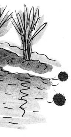 Иллюстрация к книге — Скажи, Лиса! [i_098.jpg]