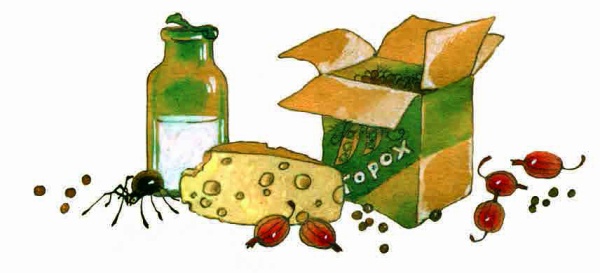 Иллюстрация к книге — Чемодановна. Моя ужасная бабушка [i_017.jpg]