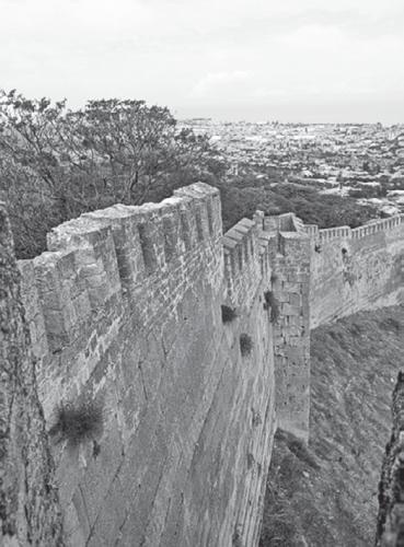 Иллюстрация к книге — Великая степь. Приношение тюрка [_130.jpg]