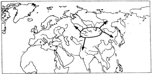 Иллюстрация к книге — Азиатская Европа [i_012.jpg]