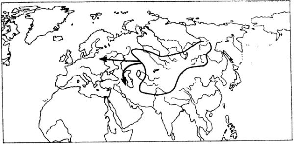 Иллюстрация к книге — Азиатская Европа [i_013.jpg]