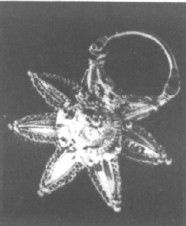 Иллюстрация к книге — Азиатская Европа [i_032.jpg]