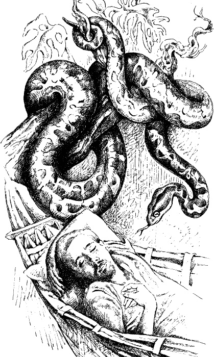 Иллюстрация к книге — В поисках Эльдорадо [_10.jpg]