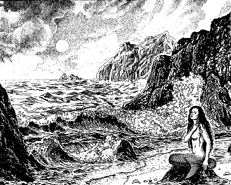 Иллюстрация к книге — Леди Сирин Энского уезда [i_001.jpg]