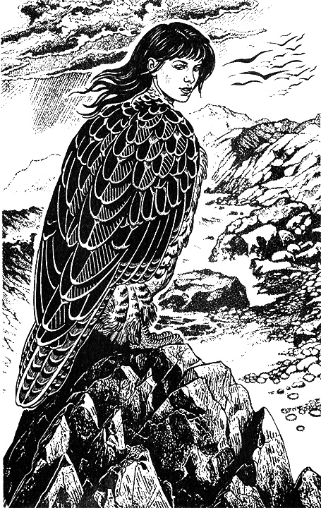 Иллюстрация к книге — Леди Сирин Энского уезда [i_002.jpg]