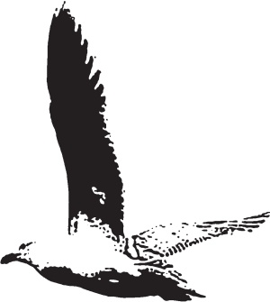 Иллюстрация к книге — Приданое для дочери. Все, что ты узнаешь, когда станешь совсем взрослой… [_1.jpg]