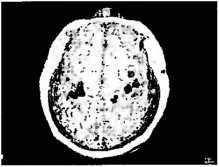Иллюстрация к книге — Рождение разума. Загадки нашего сознания [img_5.jpg]