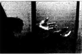 Иллюстрация к книге — Рождение разума. Загадки нашего сознания [img_6.jpg]