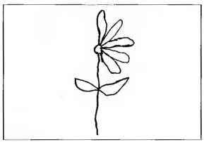 Иллюстрация к книге — Рождение разума. Загадки нашего сознания [img_9.jpg]